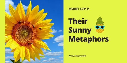 Weather Experts and Their Sunny Metaphors